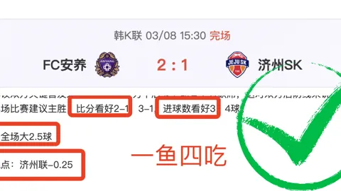 德甲剧情迭起，耐人回味
